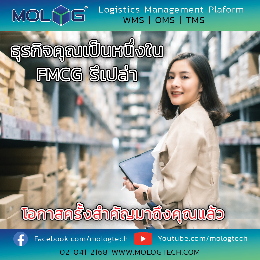 wms fmcg