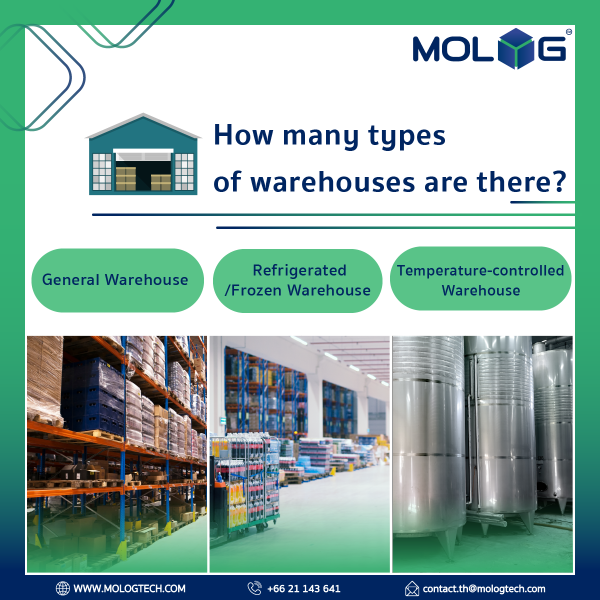 Warehouse Business in Thailand Warehouse Business in Thailand